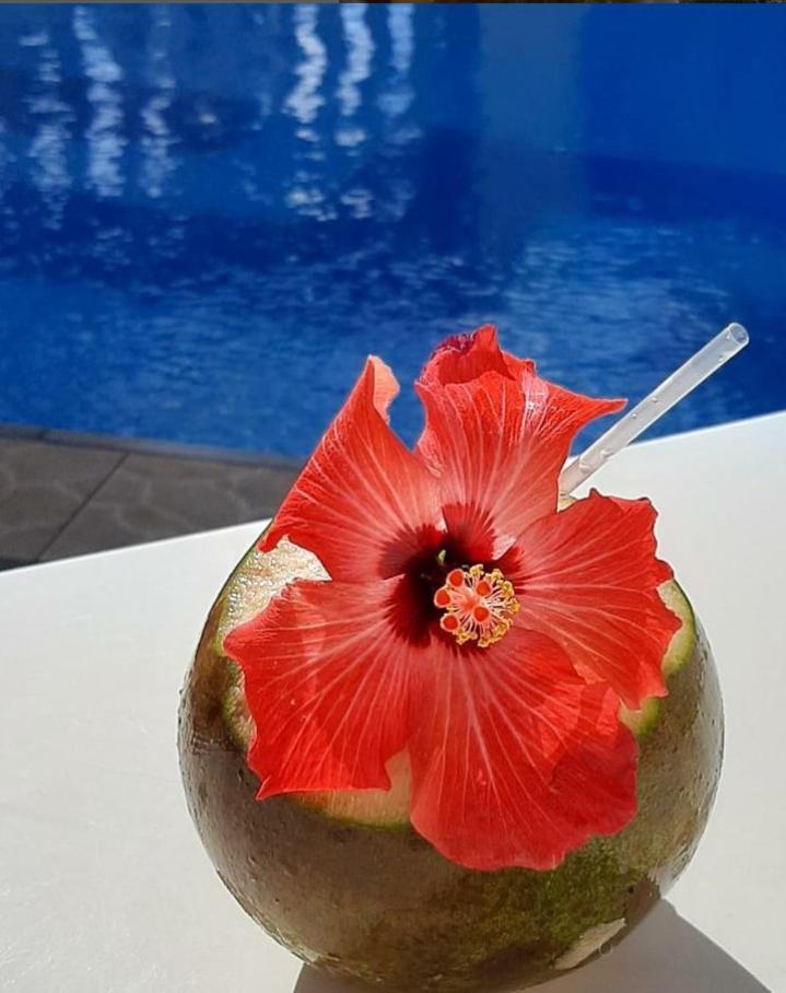 Pousada Florais Do Atlantico Estância Eksteriør bilde